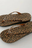 Brown Leopard / 36-37(US5-6)