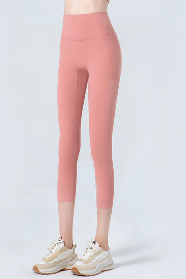 d234162393d04c9b851c49de6f54d6db-Max